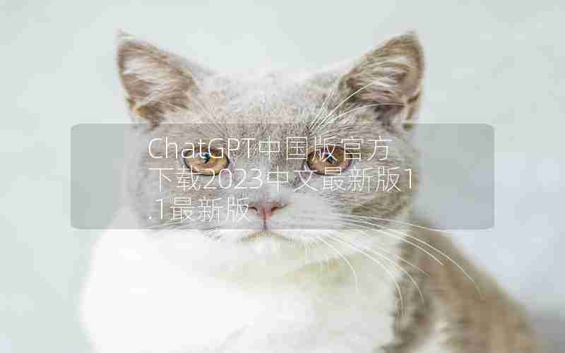 ChatGPT中国版官方下载2023中文最新版1.1最新版