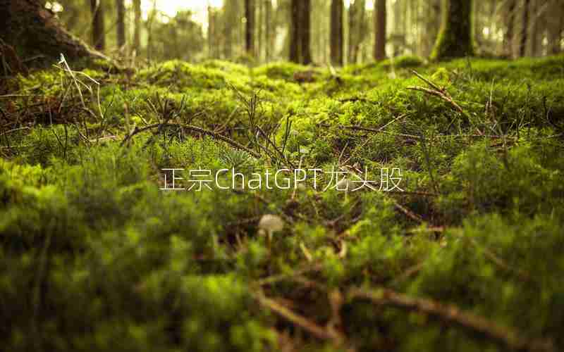 正宗ChatGPT龙头股