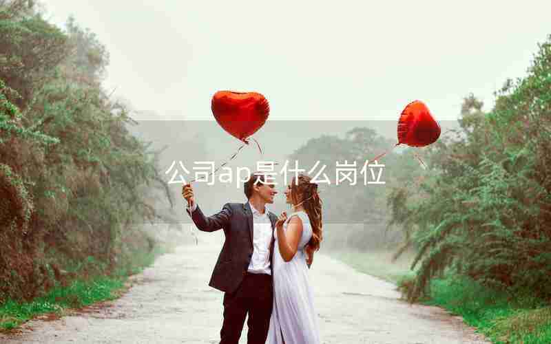 公司ap是什么岗位