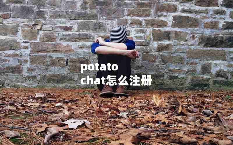potato chat怎么注册