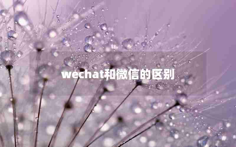 wechat和微信的区别 wechat和微信的区别