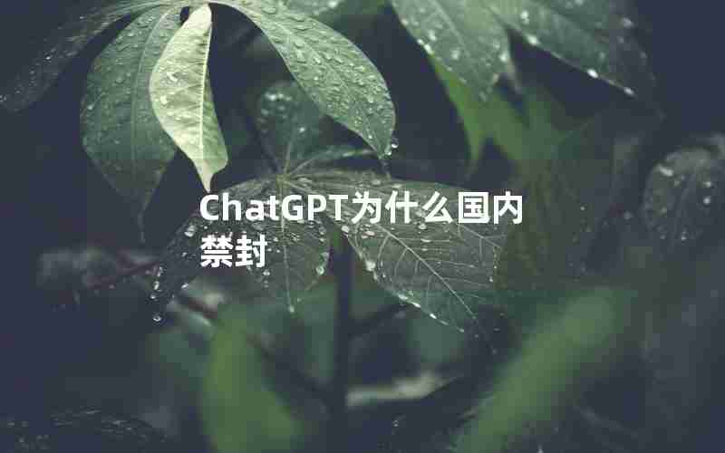 ChatGPT为什么国内禁封