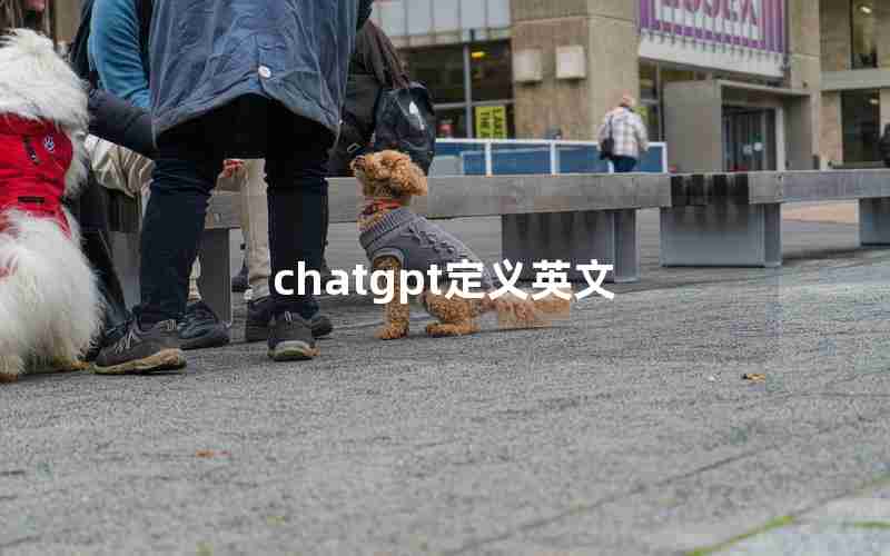 chatgpt定义英文