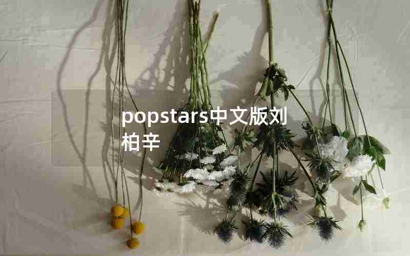 popstars中文版刘柏辛 popstars中文版刘柏辛