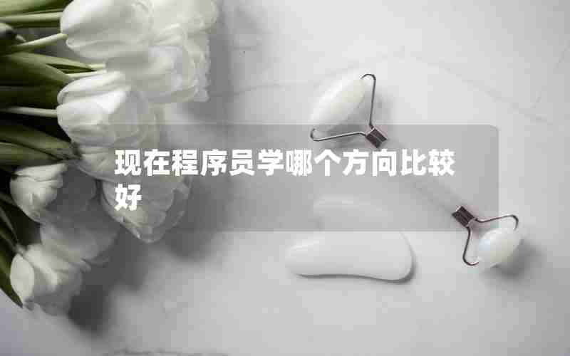现在程序员学哪个方向比较好