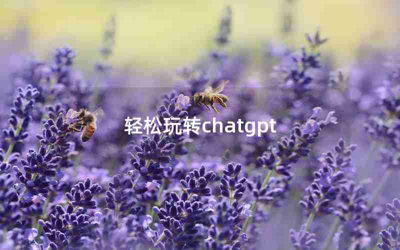 轻松玩转chatgpt 轻松玩转chatgpt