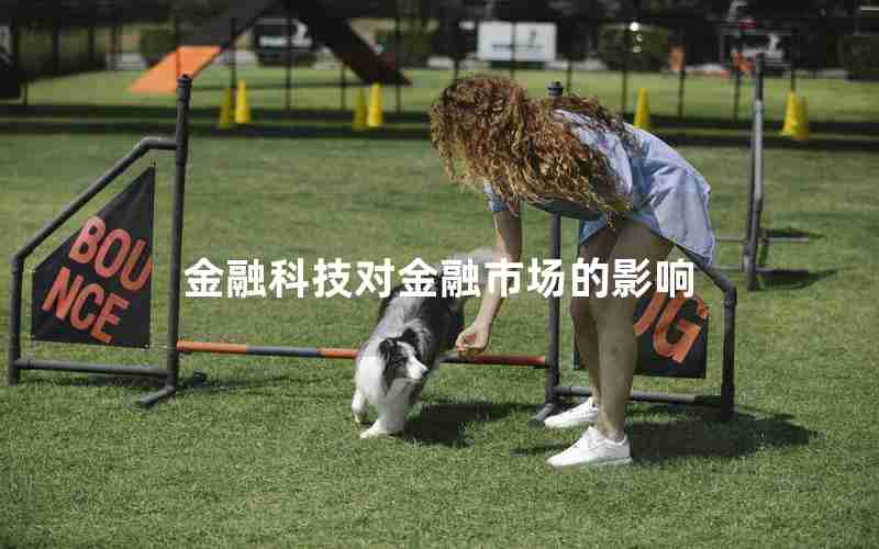 金融科技对金融市场的影响 金融科技对金融市场的影响