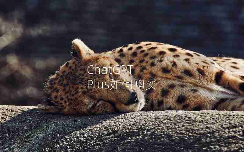 ChatGPT Plus如何购买
