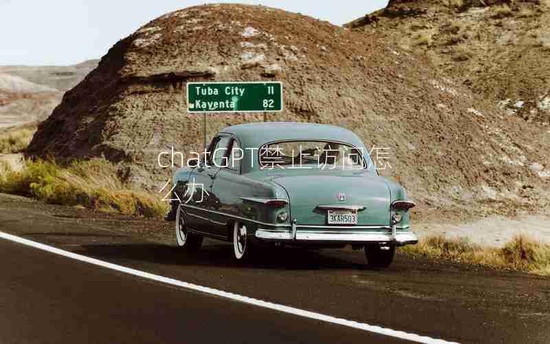 chatGPT禁止访问怎么办