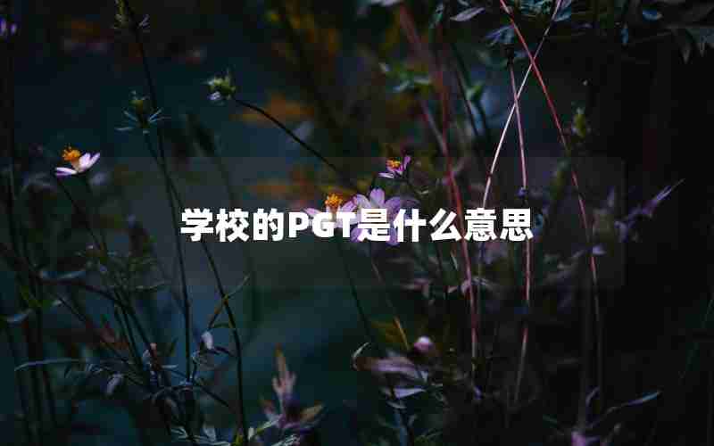 学校的PGT是什么意思 学校的PGT是什么意思