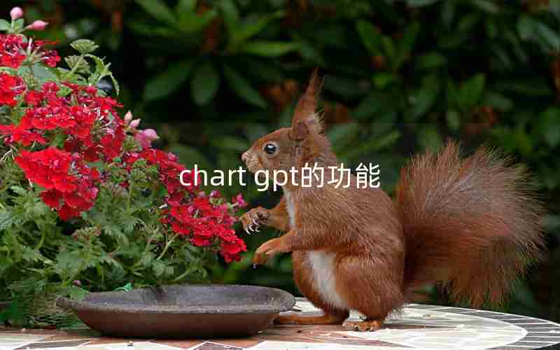 chart gpt的功能 chart gpt的功能
