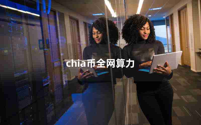 chia币全网算力