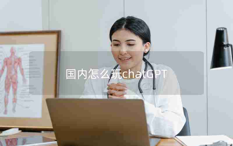 国内怎么玩chatGPT 国内怎么玩chatGPT