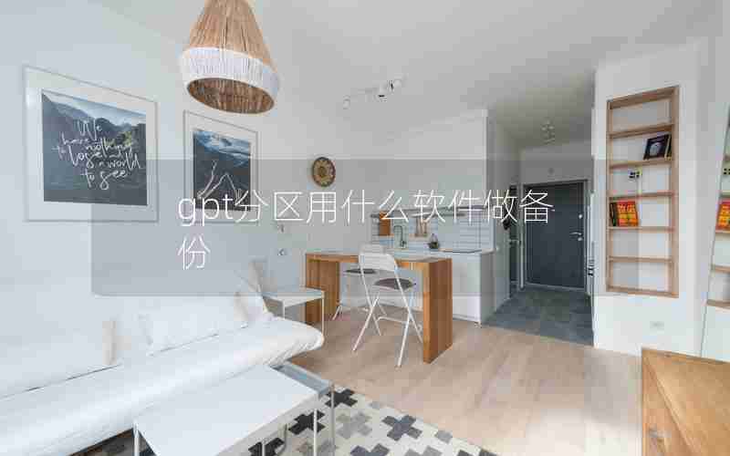 gpt分区用什么软件做备份