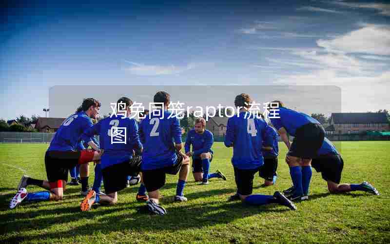 鸡兔同笼raptor流程图