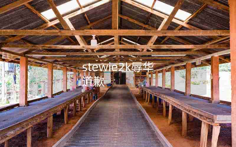 stewie2k辱华 道歉