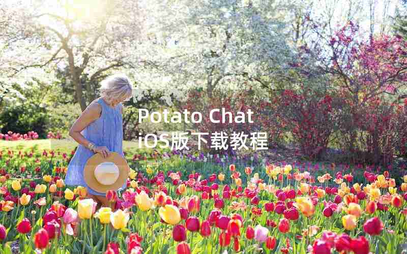 Potato Chat iOS版下载教程
