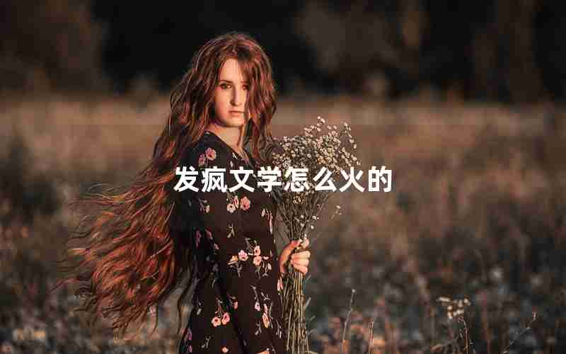 发疯文学怎么火的