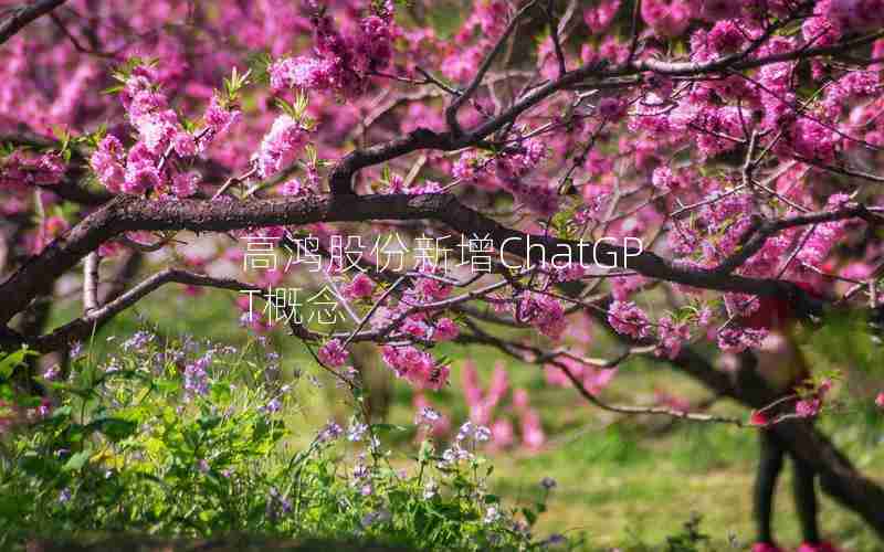高鸿股份新增ChatGPT概念 高鸿股份新增ChatGPT概念