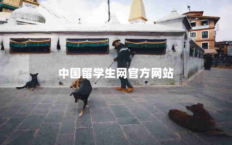 中国留学生网官方网站