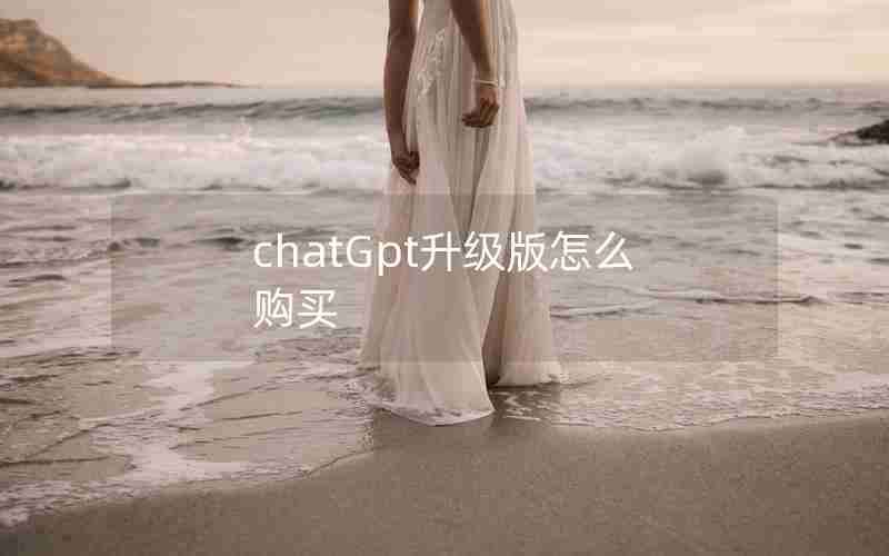 chatGpt升级版怎么购买