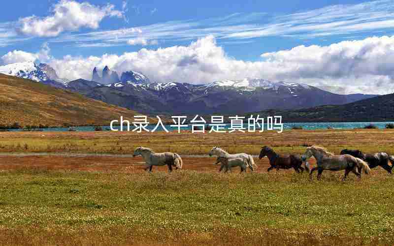 ch录入平台是真的吗