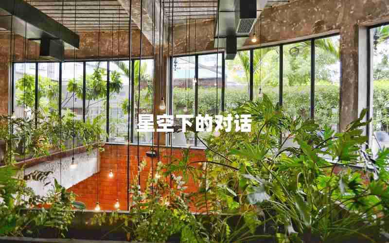 星空下的对话