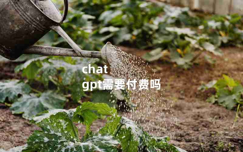 chat gpt需要付费吗
