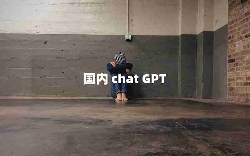 国内 chat GPT