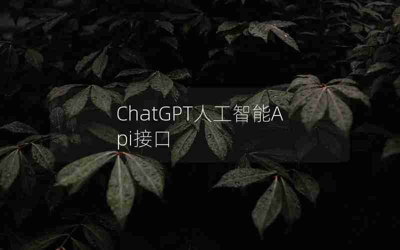 ChatGPT人工智能Api接口 ChatGPT人工智能Api接口