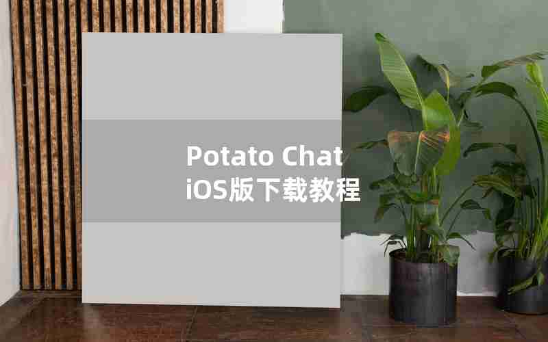 Potato Chat iOS版下载教程