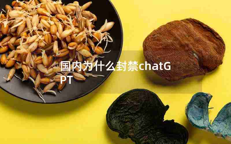 国内为什么封禁chatGPT