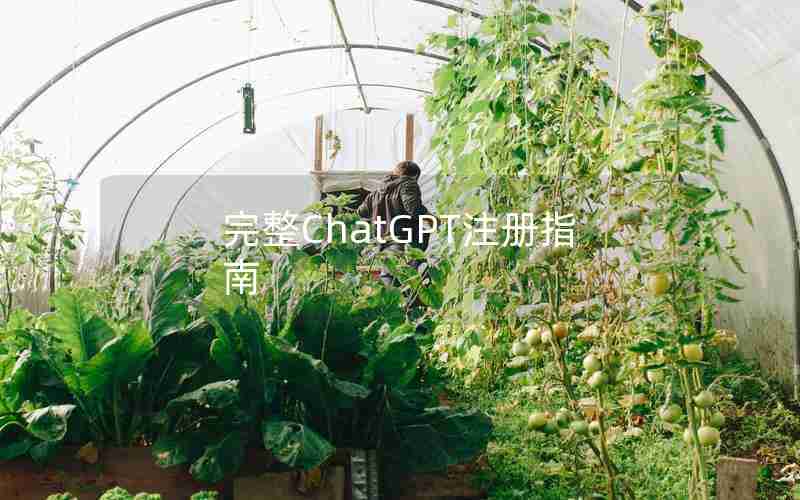 完整ChatGPT注册指南