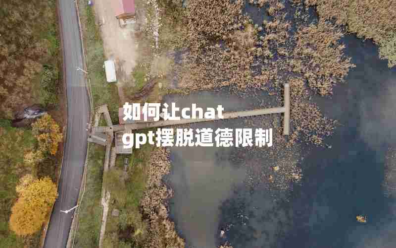 如何让chat gpt摆脱道德限制