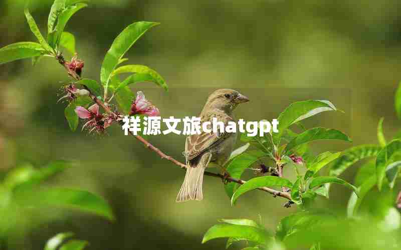 祥源文旅chatgpt