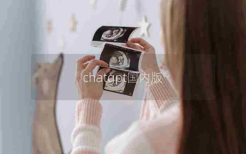 chatgpt国内版