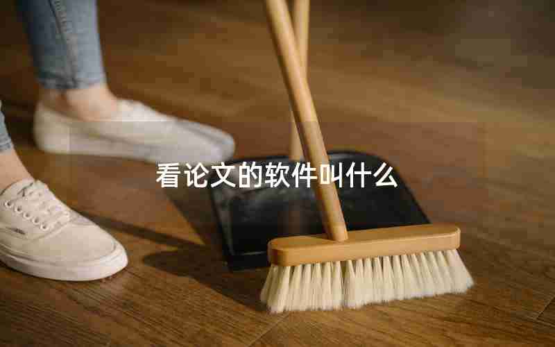 看论文的软件叫什么