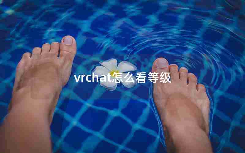 vrchat怎么看等级