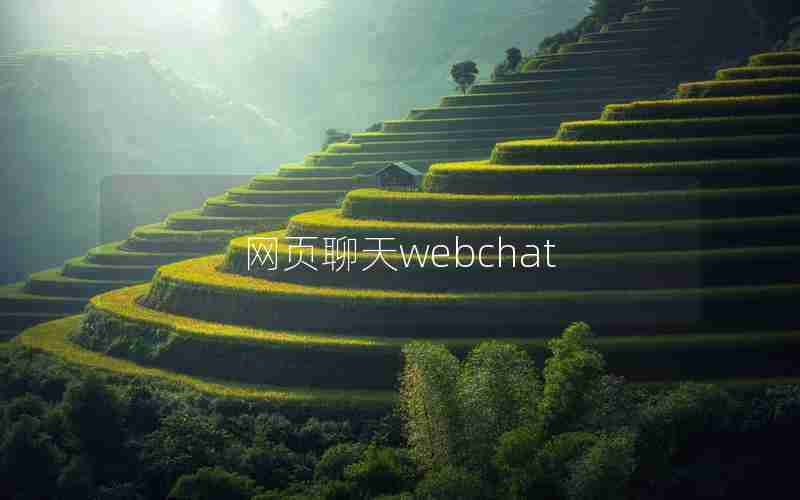 网页聊天webchat 网页聊天webchat