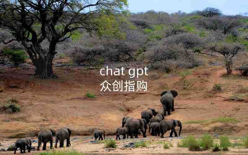 chat gpt 众创指购
