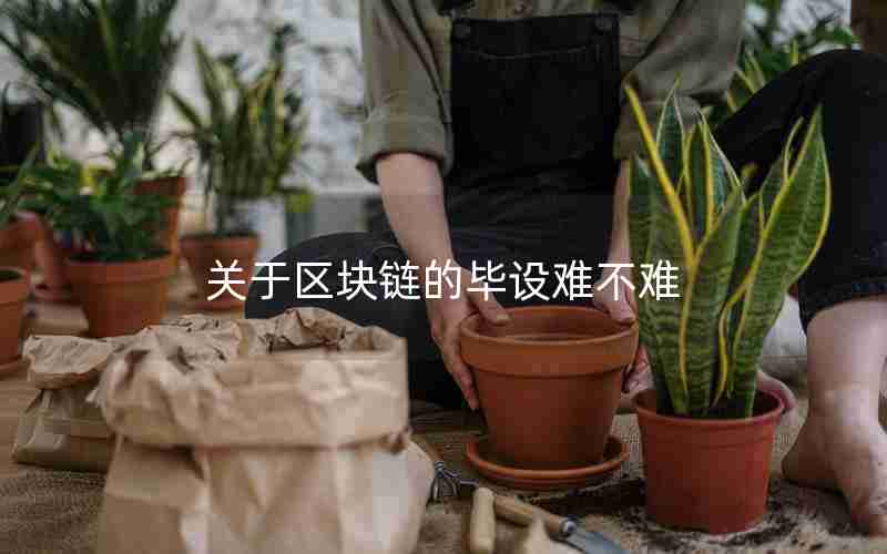 关于区块链的毕设难不难 关于区块链的毕设难不难