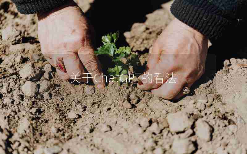 关于ChatGPT的看法 关于ChatGPT的看法