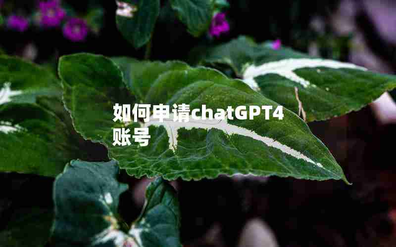 如何申请chatGPT4账号 如何申请chatGPT4账号