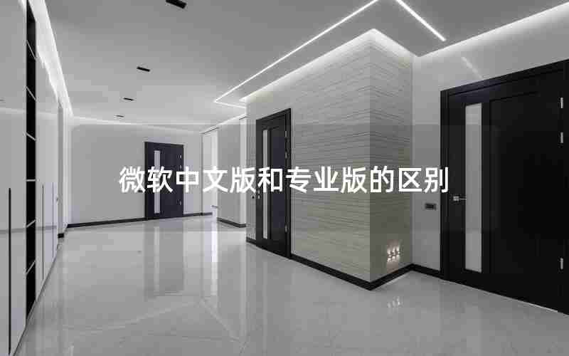 微软中文版和专业版的区别