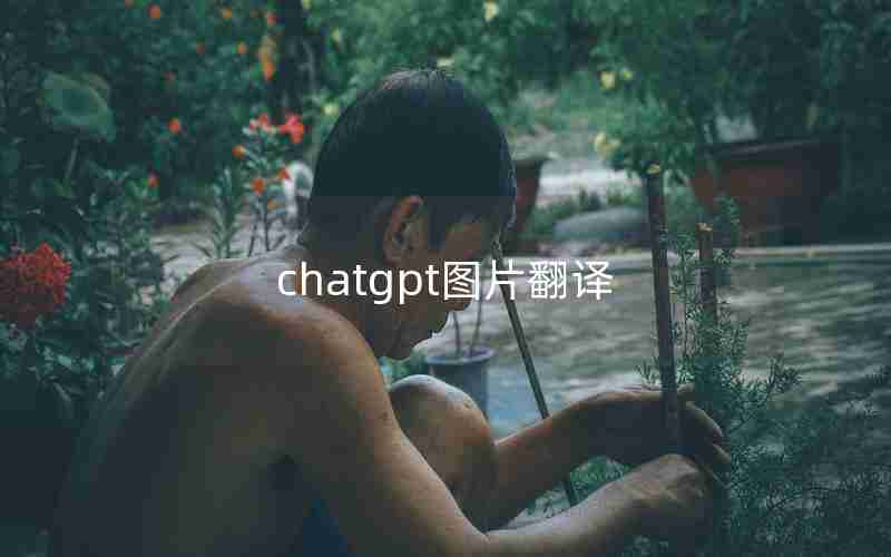 chatgpt图片翻译 chatgpt图片翻译