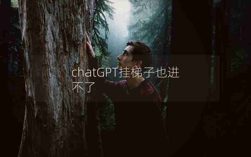 chatGPT挂梯子也进不了 chatGPT挂梯子也进不了