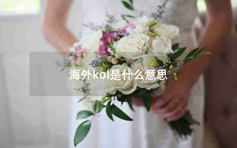 海外kol是什么意思 海外kol是什么意思
