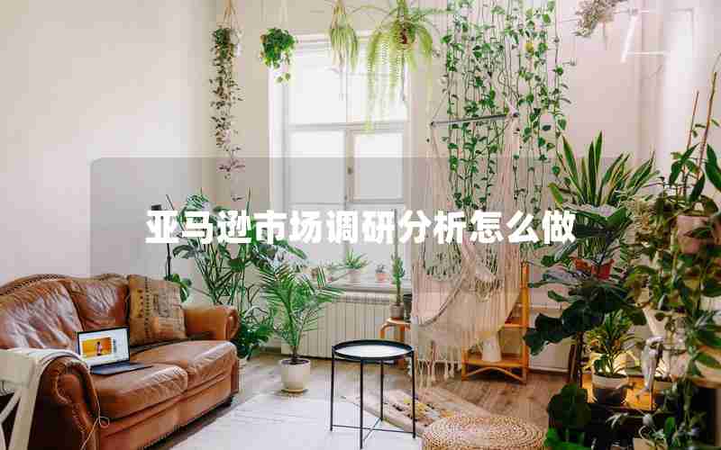 亚马逊市场调研分析怎么做 亚马逊市场调研分析怎么做