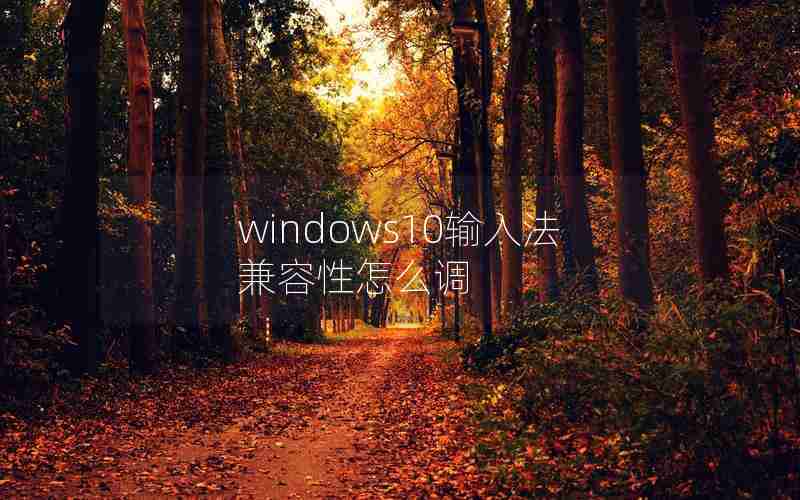 windows10输入法兼容性怎么调