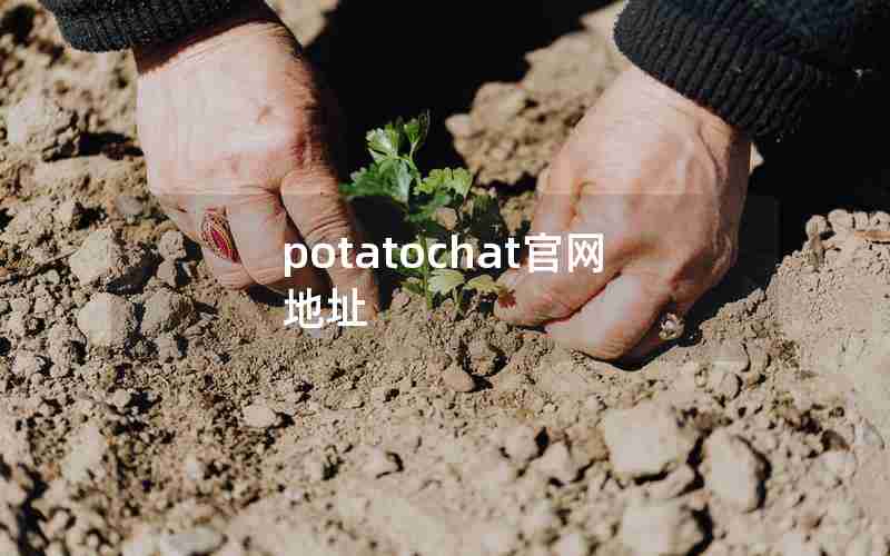 potatochat官网地址 potatochat官网地址